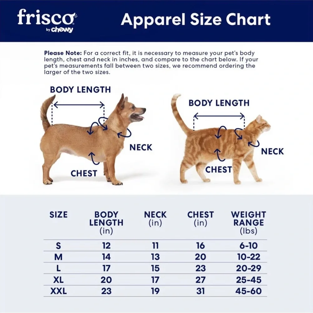 Frisco by Chewy | Dog Camping Graphic Tee | Size Medium, Steel Blue/Rust